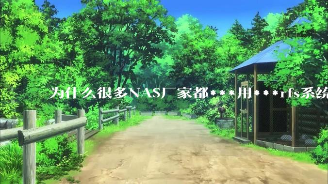 为什么很多NAS厂家都***用***rfs系统,而不是更稳定的zfs?