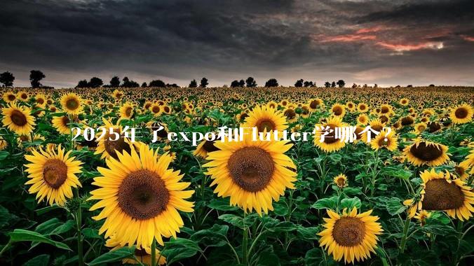 2025年了expo和Flutter学哪个?