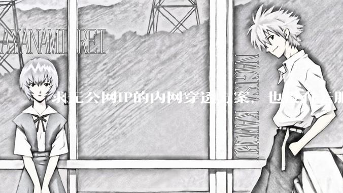 求无公网IP的内网穿透方案,也没有云服务器,有什么方案吗?