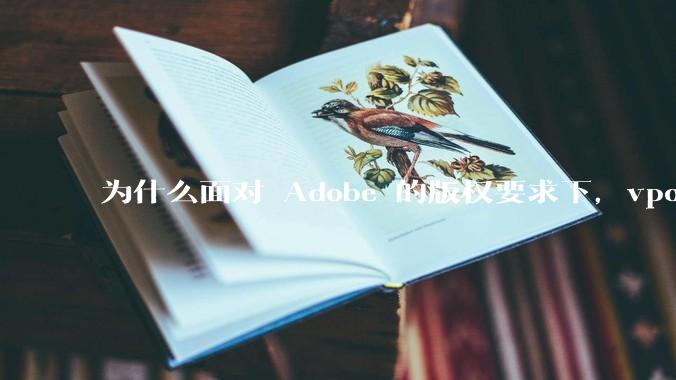 为什么面对 Adobe 的版权要求下,vposy 大神还能从容不迫?