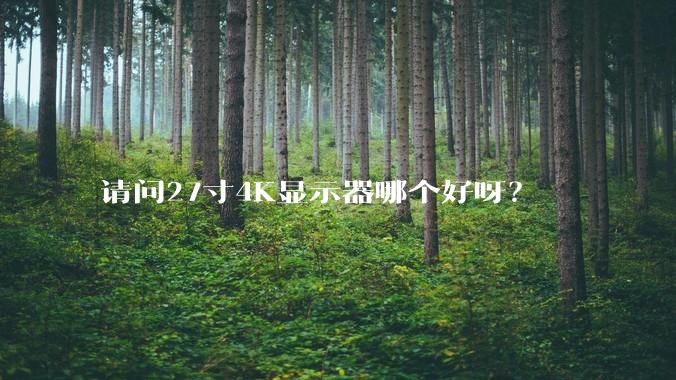 请问27寸4K显示器哪个好呀?