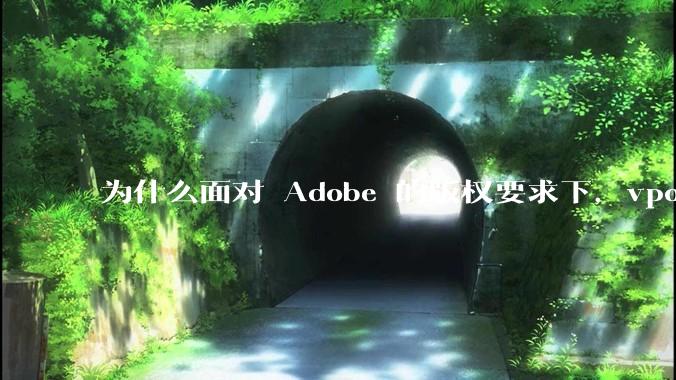 为什么面对 Adobe 的版权要求下,vposy 大神还能从容不迫?