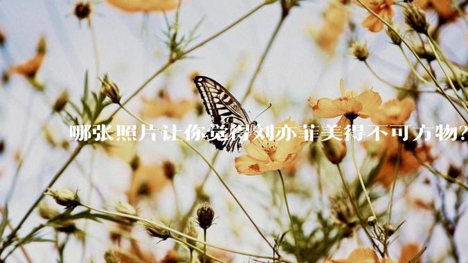 哪张照片让你觉得刘亦菲美得不可方物?