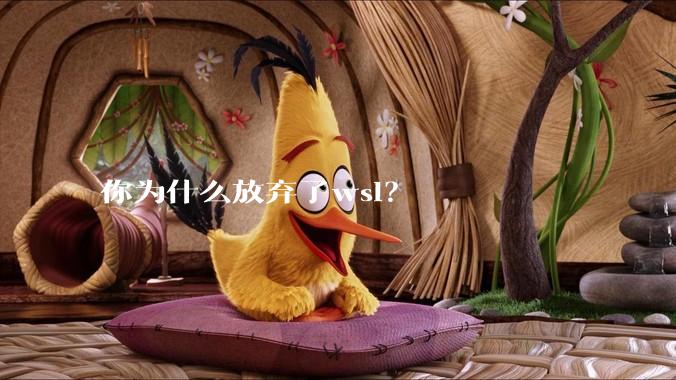 你为什么放弃了wsl?