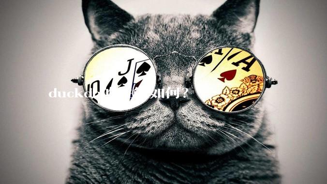 duckdb的性能如何?