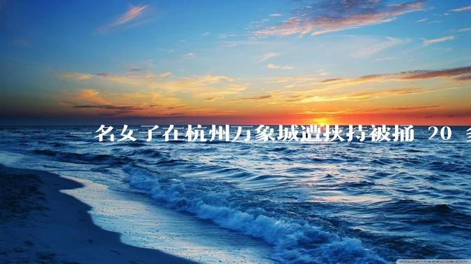 一名女子在杭州万象城遭挟持被捅 20 多刀,隆胸***体救了一命,这反映出哪些公安系统的问题?