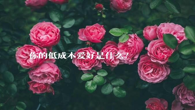 你的低成本爱好是什么?