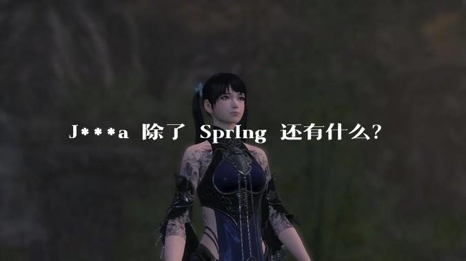 J***a 除了 Spring 还有什么?