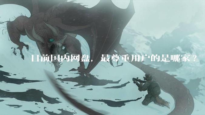 目前国内网盘,最尊重用户的是哪家?