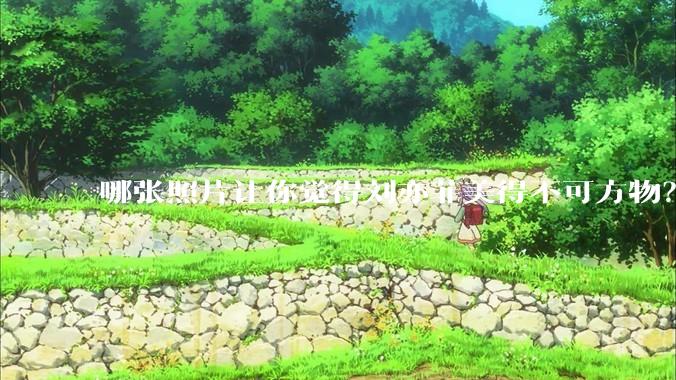 哪张照片让你觉得刘亦菲美得不可方物?