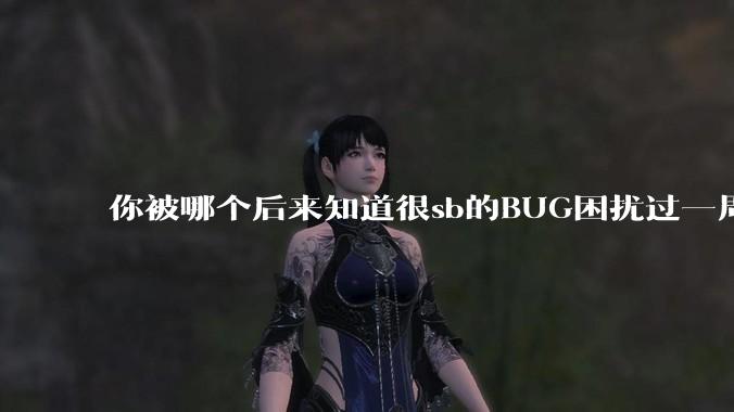 你被哪个后来知道很sb的BUG困扰过一周以上吗?