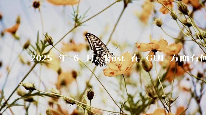 2025 年 6 月,Rust 在 GUI 方面有何大的进展? 你最看好哪个框架?