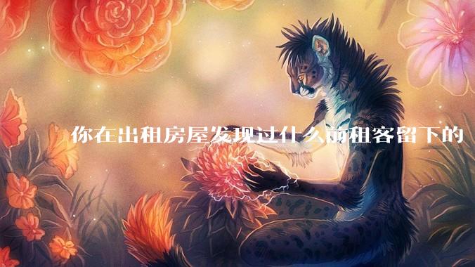你在出租房屋发现过什么前租客留下的“宝藏”?
