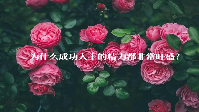 为什么成功人士的精力都非常旺盛?