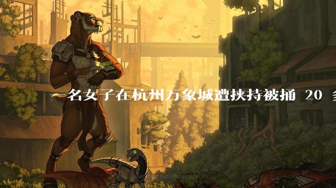 一名女子在杭州万象城遭挟持被捅 20 多刀,隆胸***体救了一命,这反映出哪些公安系统的问题?