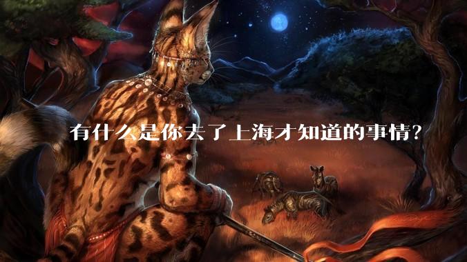 有什么是你去了上海才知道的事情?