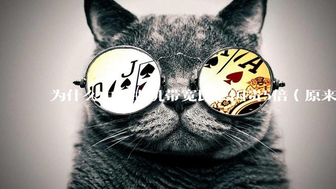 为什么中国主机带宽比美国贵5倍(原来错误的10000倍),比如阿里云?