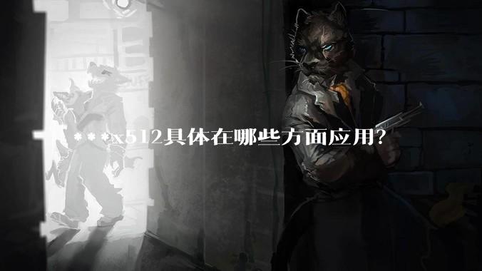 ***x512具体在哪些方面应用?