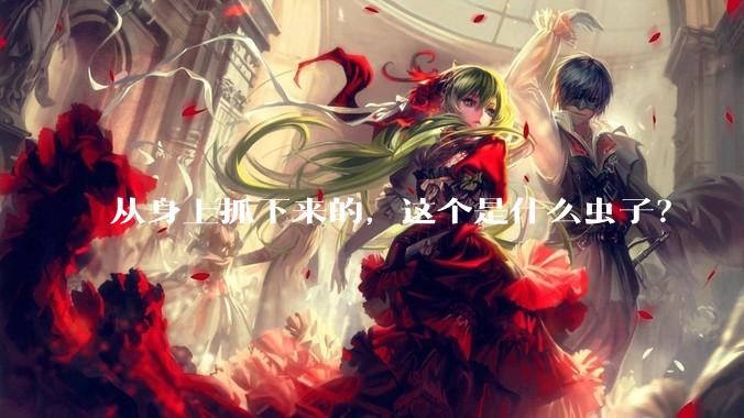 从身上抓下来的,这个是什么虫子?