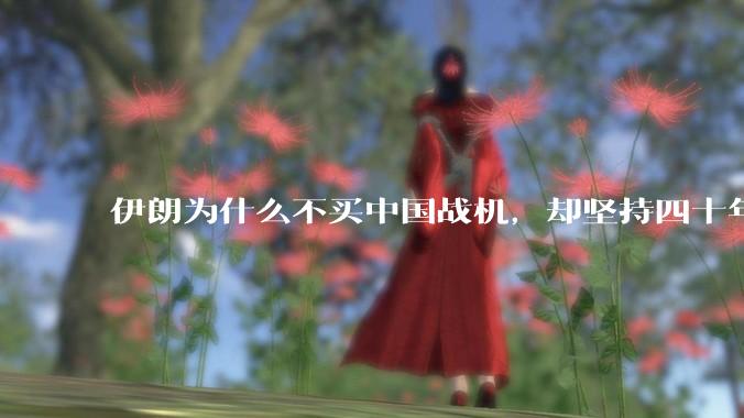 伊朗为什么不买中国战机,却坚持四十年用老旧的苏联米格29、美国F14雄猫战斗机?