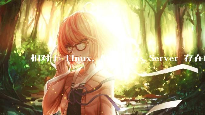 相对于 Linux,Windows Server 存在的意义是什么?