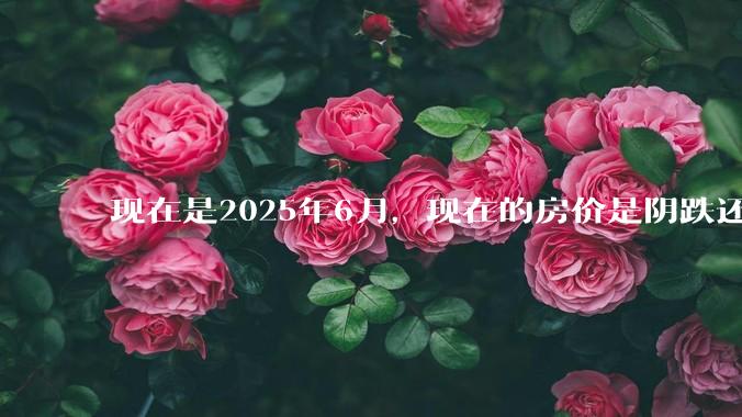 现在是2025年6月,现在的房价是阴跌还是暴跌?还会继续跌多久?是否已经开始分化?