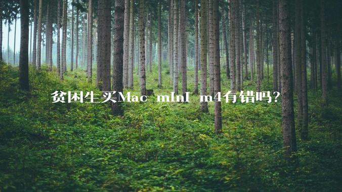 贫困生买Mac mini m4有错吗?