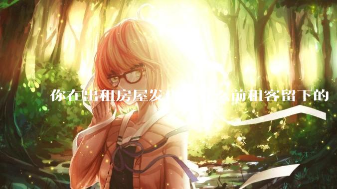 你在出租房屋发现过什么前租客留下的“宝藏”?