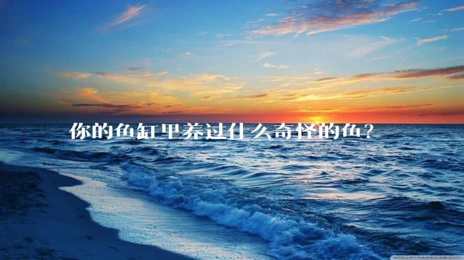 你的鱼缸里养过什么奇怪的鱼?