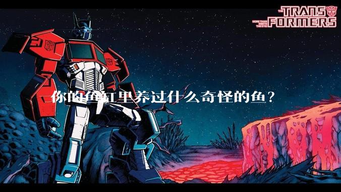 你的鱼缸里养过什么奇怪的鱼?