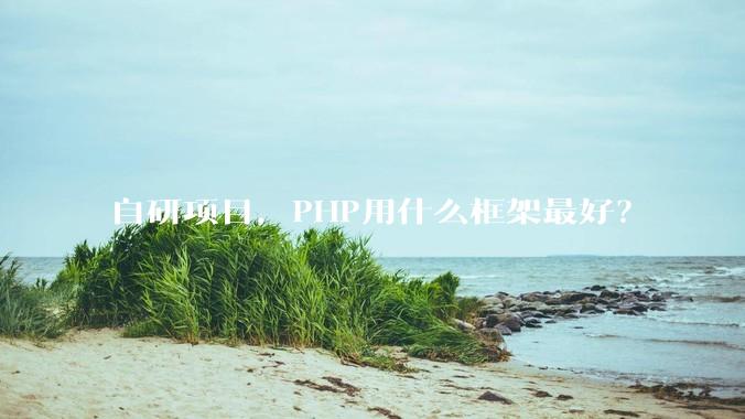 自研项目,PHP用什么框架最好?