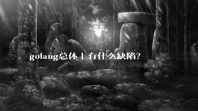 golang总体上有什么缺陷?
