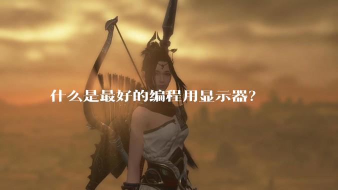 什么是最好的编程用显示器?