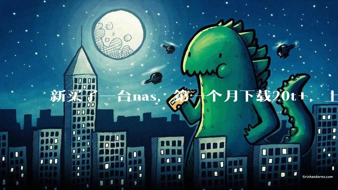 新买了一台nas,第一个月下载20t+,上传5+,不会被网警盯上吧?