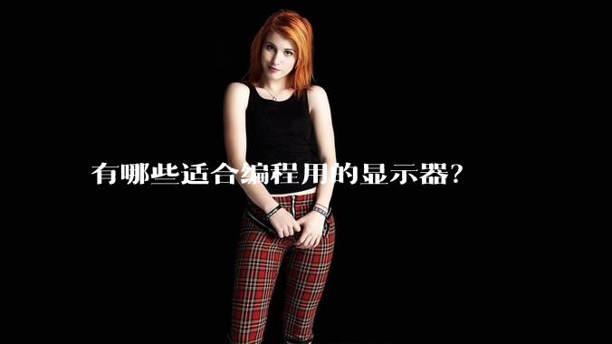 有哪些适合编程用的显示器?