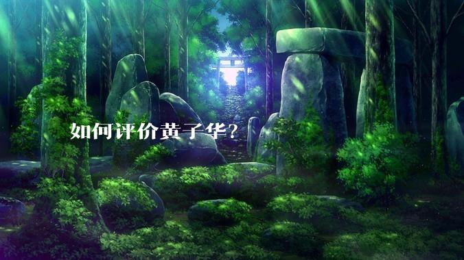 如何评价黄子华?