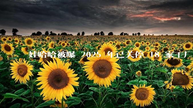 娃哈哈被曝 2025 年已关停 18 家工厂,此前曾回应纯净水由今麦郎代工,娃哈哈到底在布局什么?