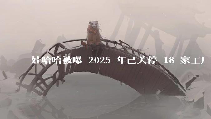 娃哈哈被曝 2025 年已关停 18 家工厂,此前曾回应纯净水由今麦郎代工,娃哈哈到底在布局什么?