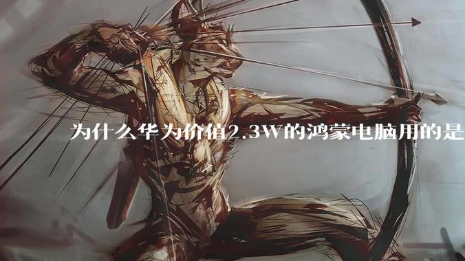 为什么华为价值2.3W的鸿蒙电脑用的是美国西数的中低固态硬盘??