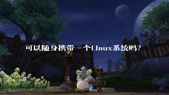 可以随身携带一个Linux系统吗?