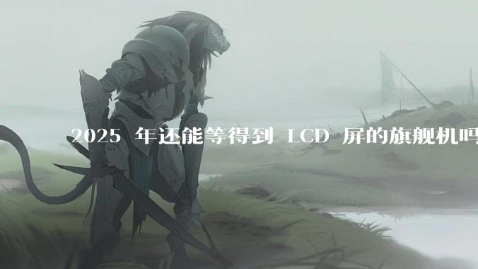2025 年还能等得到 LCD 屏的旗舰机吗?