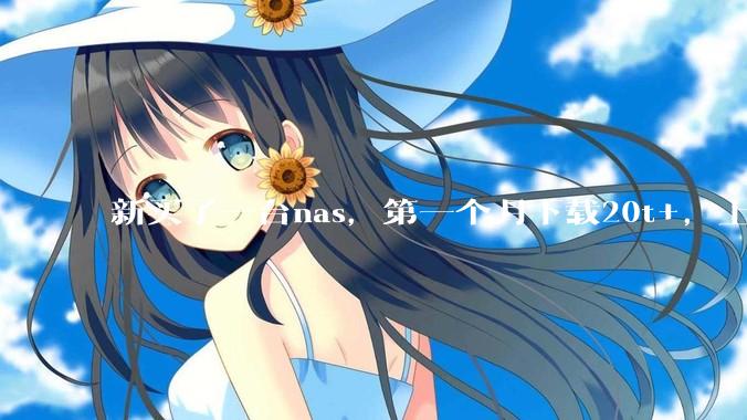 新买了一台nas,第一个月下载20t+,上传5+,不会被网警盯上吧?