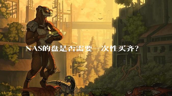 NAS的盘是否需要一次性买齐?