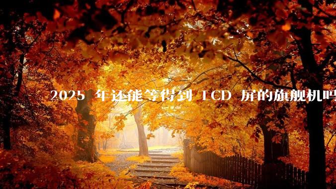 2025 年还能等得到 LCD 屏的旗舰机吗?