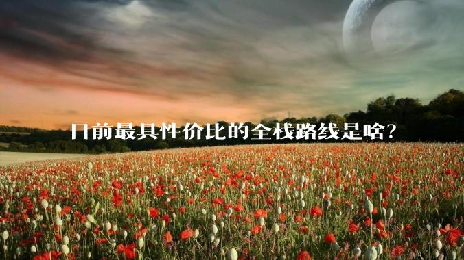 目前最具性价比的全栈路线是啥?