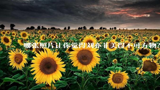 哪张照片让你觉得刘亦菲美得不可方物?