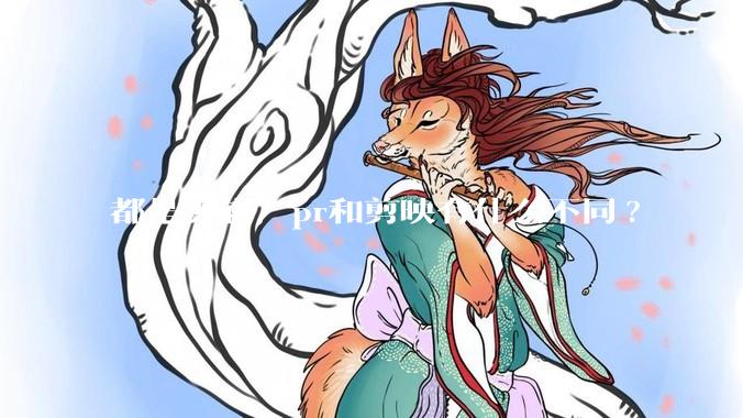 都是剪辑,pr和剪映有什么不同?