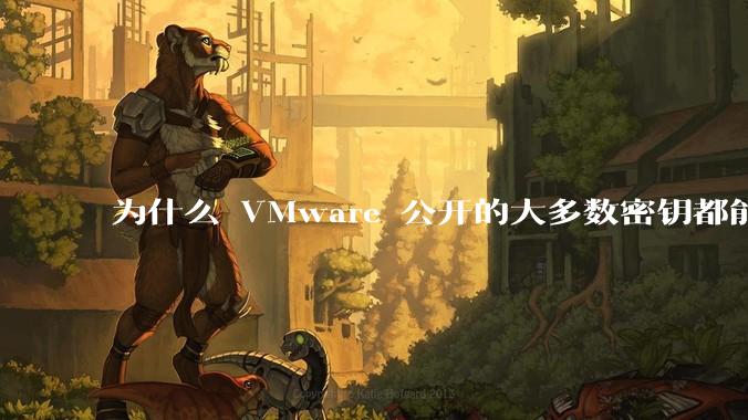 为什么 VMware 公开的大多数密钥都能用?