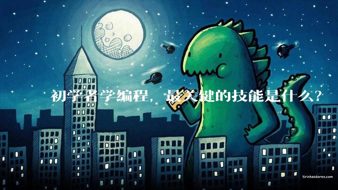 初学者学编程,最关键的技能是什么?