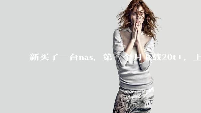 新买了一台nas,第一个月下载20t+,上传5+,不会被网警盯上吧?